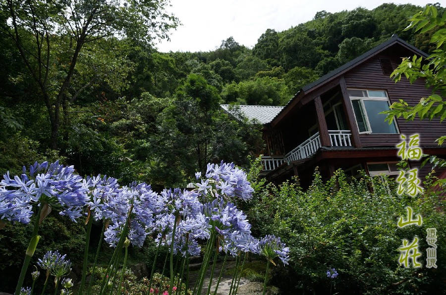 桃園拉拉山民宿福緣山莊