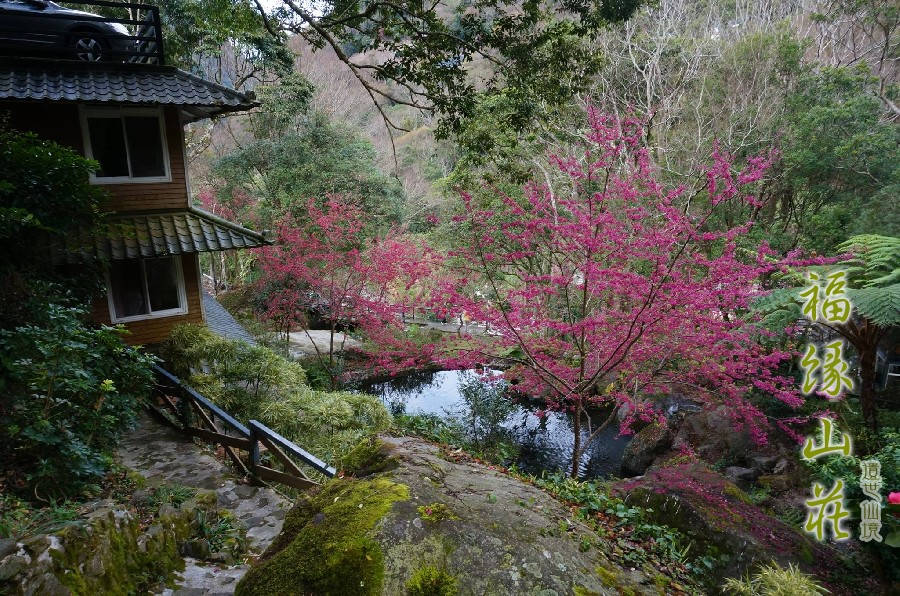 桃園拉拉山民宿福緣山莊