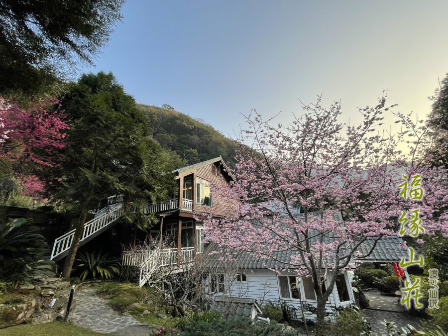 桃園拉拉山民宿福緣山莊