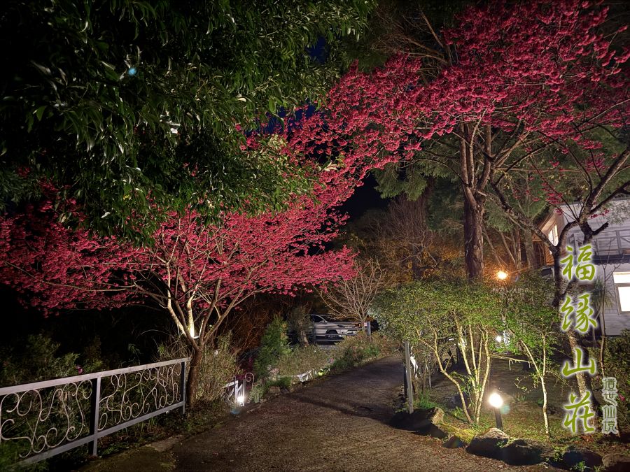 桃園拉拉山民宿福緣山莊