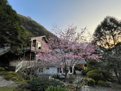 福緣美景 | 福緣圖庫 | 桃園拉拉山民宿福緣山莊 | R-1-260227101328.jpg