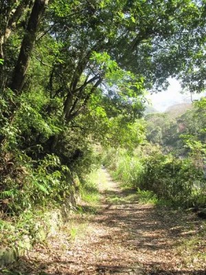 福緣美景 | 福緣圖庫 | 桃園拉拉山民宿福緣山莊 | R-1-26058123506.webp