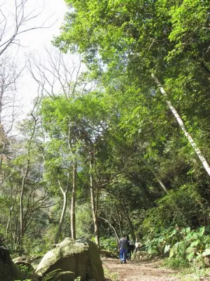 福緣美景 | 福緣圖庫 | 桃園拉拉山民宿福緣山莊 | R-1-26058123824.webp
