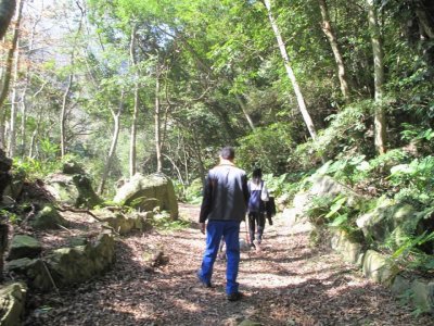 歡樂時光 | 福緣圖庫 | 桃園拉拉山民宿福緣山莊 | R-10-25052741341.jpg