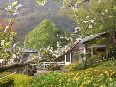 福緣四季 | 福緣圖庫 | 桃園拉拉山民宿福緣山莊 | R-4-25051231537.jpg