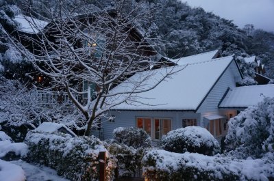 福緣四季 | 福緣圖庫 | 桃園拉拉山民宿福緣山莊 | R-4-25051420045.jpg