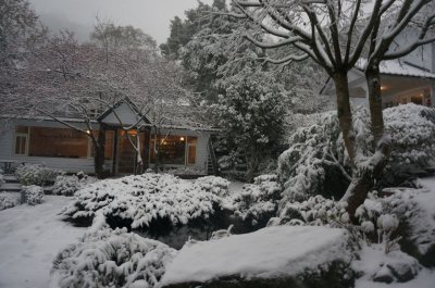 福緣四季 | 福緣圖庫 | 桃園拉拉山民宿福緣山莊 | R-4-25051420118.jpg