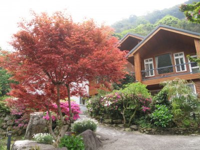 福緣四季 | 福緣圖庫 | 桃園拉拉山民宿福緣山莊 | R-4-25053180540.jpg
