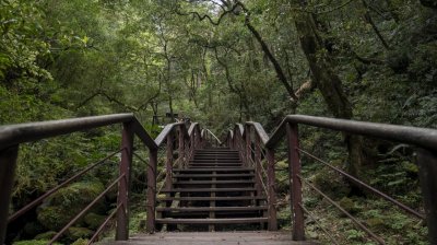 拉拉山國家森林遊樂區 | 福緣圖庫 | 桃園拉拉山民宿福緣山莊 | R-9-250510200710.jpg