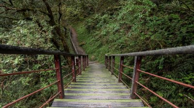 拉拉山國家森林遊樂區 | 福緣圖庫 | 桃園拉拉山民宿福緣山莊 | R-9-25051585416.jpg