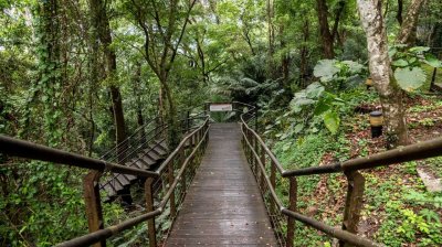 拉拉山國家森林遊樂區 | 福緣圖庫 | 桃園拉拉山民宿福緣山莊 | R-9-25051585437.jpg