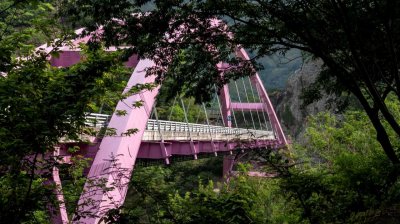 拉拉山國家森林遊樂區 | 福緣圖庫 | 桃園拉拉山民宿福緣山莊 | R-9-25051585500.jpg