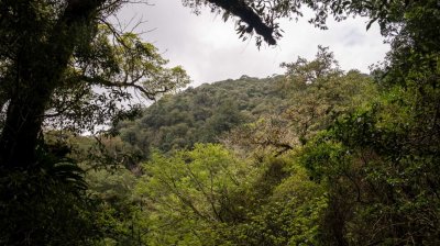 拉拉山國家森林遊樂區 | 福緣圖庫 | 桃園拉拉山民宿福緣山莊 | R-9-25051585717.jpg