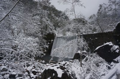 福緣四季 | 福緣圖庫 | 桃園拉拉山民宿福緣山莊 | fuyamfourseasons-25051420054.jpg