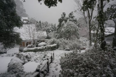 福緣四季 | 福緣圖庫 | 桃園拉拉山民宿福緣山莊 | fuyamfourseasons-25051420140.jpg