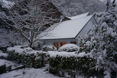 福緣四季 | 福緣圖庫 | 桃園拉拉山民宿福緣山莊 | fuyamfourseasons-25051420200.jpg