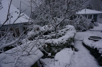 福緣四季 | 福緣圖庫 | 桃園拉拉山民宿福緣山莊 | fuyamfourseasons-25051420212.jpg