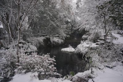 福緣四季 | 福緣圖庫 | 桃園拉拉山民宿福緣山莊 | fuyamfourseasons-25051420231.jpg