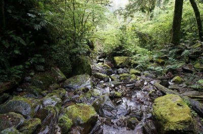 悠遊美景 | 福緣圖庫 | 桃園拉拉山民宿福緣山莊 | lala-25053180727.jpg