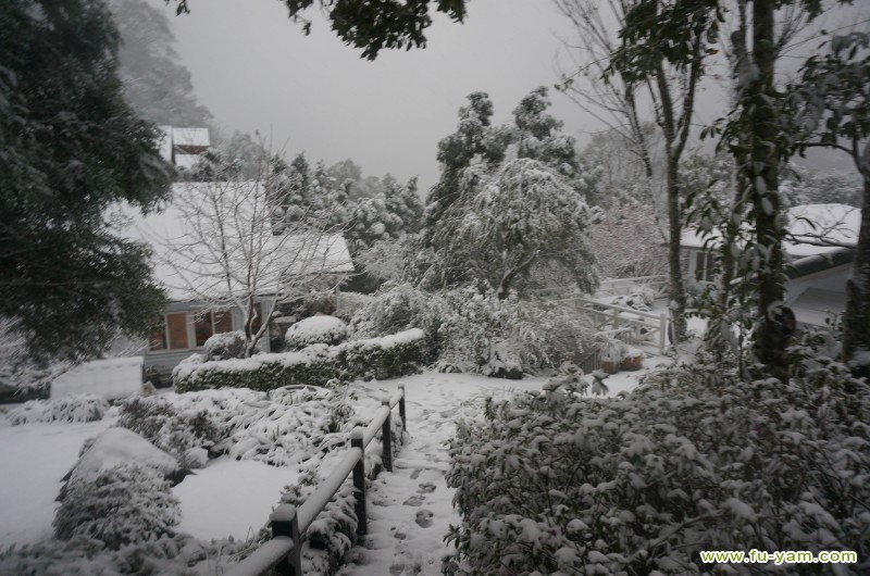 拉拉山雪景 | 福緣山莊美景分享 | 拉拉山民宿福緣山莊